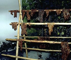 PEMMICAN séchage