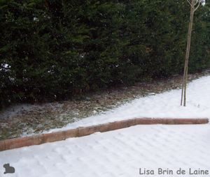 Neige2