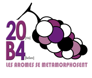 logo-20B4.png