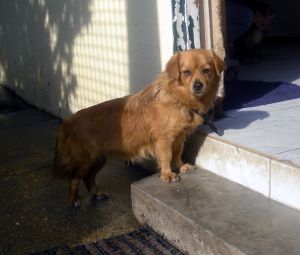sunny w