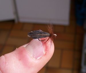 mouches-seches-052.jpg