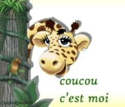 coucou c'est moi girafe