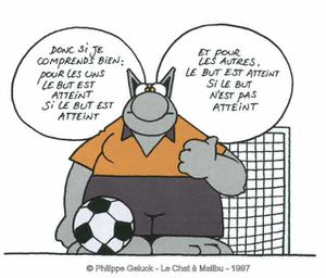LE CHAT - FOOT 01