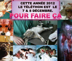 Animaux-pour-le-TELETHON-2012.png