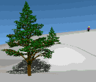 ski 017