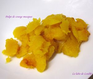 pulpe de courge 1