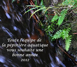 Voeux-2012-pepi.jpg