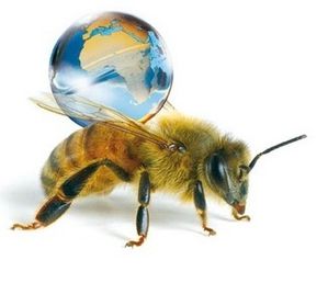 abeille.jpg