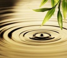 Fotolia_14039120_Subscription_L2-215x185.jpg