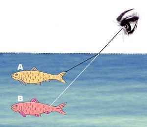 REFRACTION-copie-1.jpg
