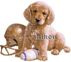 bonjour chien 1