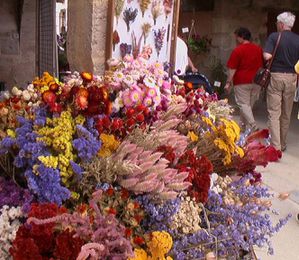 marché aux fleurs de fourcés-4