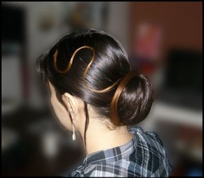chignon postiche