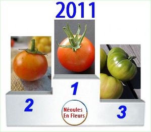 Podium-palmares-tomates-2011.jpg