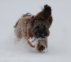happy-adore-la-neige.jpg