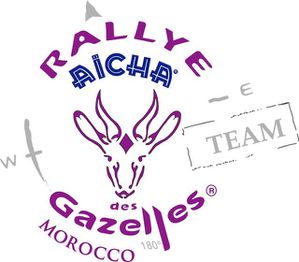 Logo_team_violet-.jpg