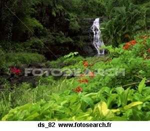 hawaien-chute-eau_-DS_82.jpg
