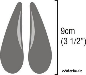 waterbuck-spoor