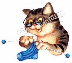 chat tricot