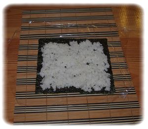 Préparation makis