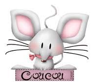 coucou-petite-souris.jpg