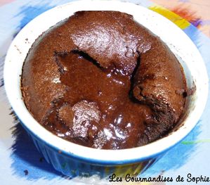 coulants-chocolat-100210.jpg