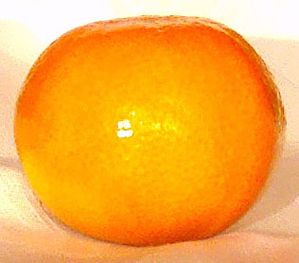 clementine-2.jpg