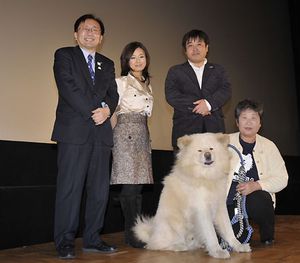 wasao-akita-inu-dog-movie.jpg