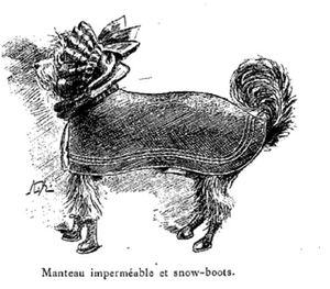 vetements-pour-chiens-1896-C.JPG