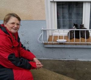 CHATS-LIBRES-DE-QUILLAN.jpg