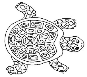 tortue14