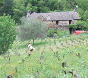 gérer l'enherbement à bout de bras