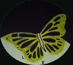 Horloge papillons détail 3