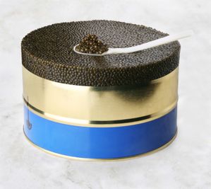 Boite-Origine-schrenki.jpg
