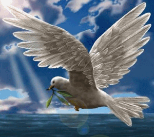 colombe-de-la-paix.gif