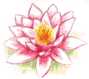 fleur-de-lotus-presentation-2.jpg