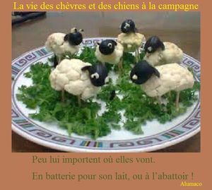 chevres-et-chiens.jpg