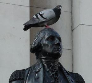 Pigeon sur statue