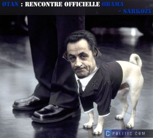 chien_sarkozy.jpg