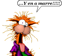 y-en-a-marre-copie-1.png