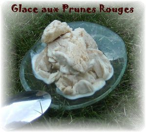 Glace prunes 1
