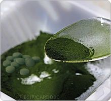 spiruline_ps-1.jpg