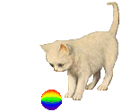 Cat150.gif