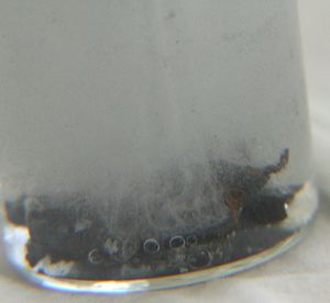 Lead-dissolving-in-HAc---H2O2.JPG