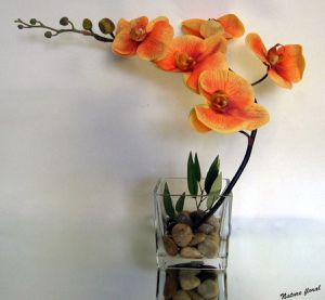 vase-cube-avec-tige-d-orchidee-6-fleurs-orange.jpg