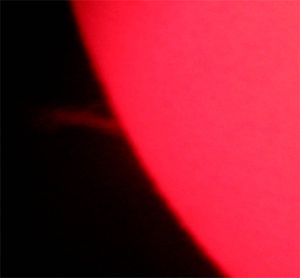 PhotoPF-011-adobe-Web1.jpg