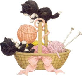 Les chats tricotent2