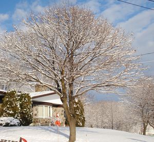 1ere neige du 8 dec 2011 032