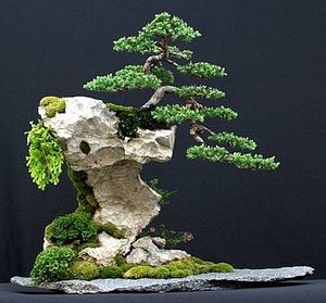 penjing.jpg