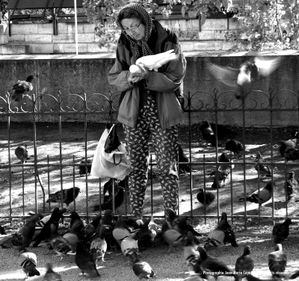 PARIS, la vieille dame et les pigeons